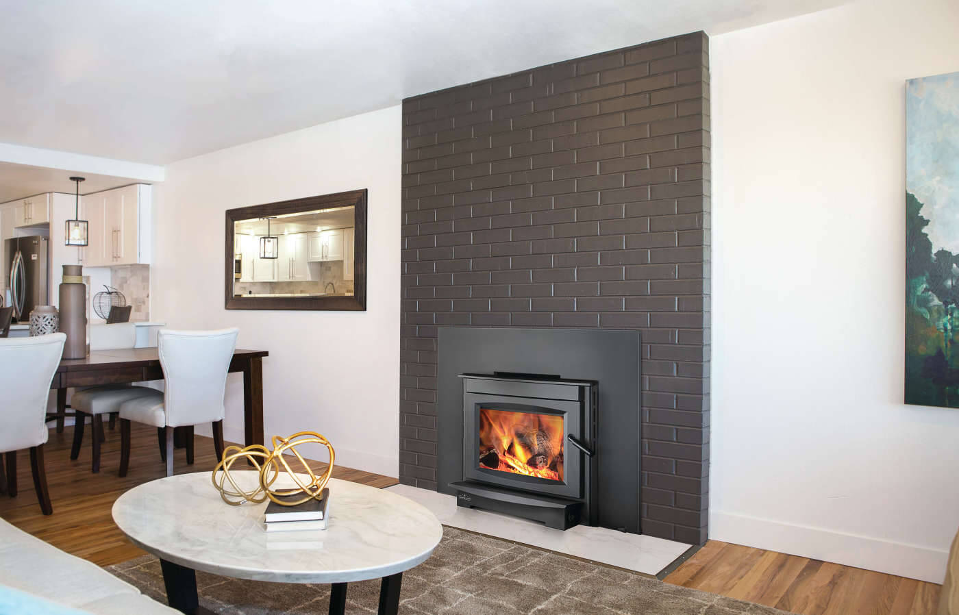Napoleon S25i Wood Burning Insert with Contemporary Design S25I