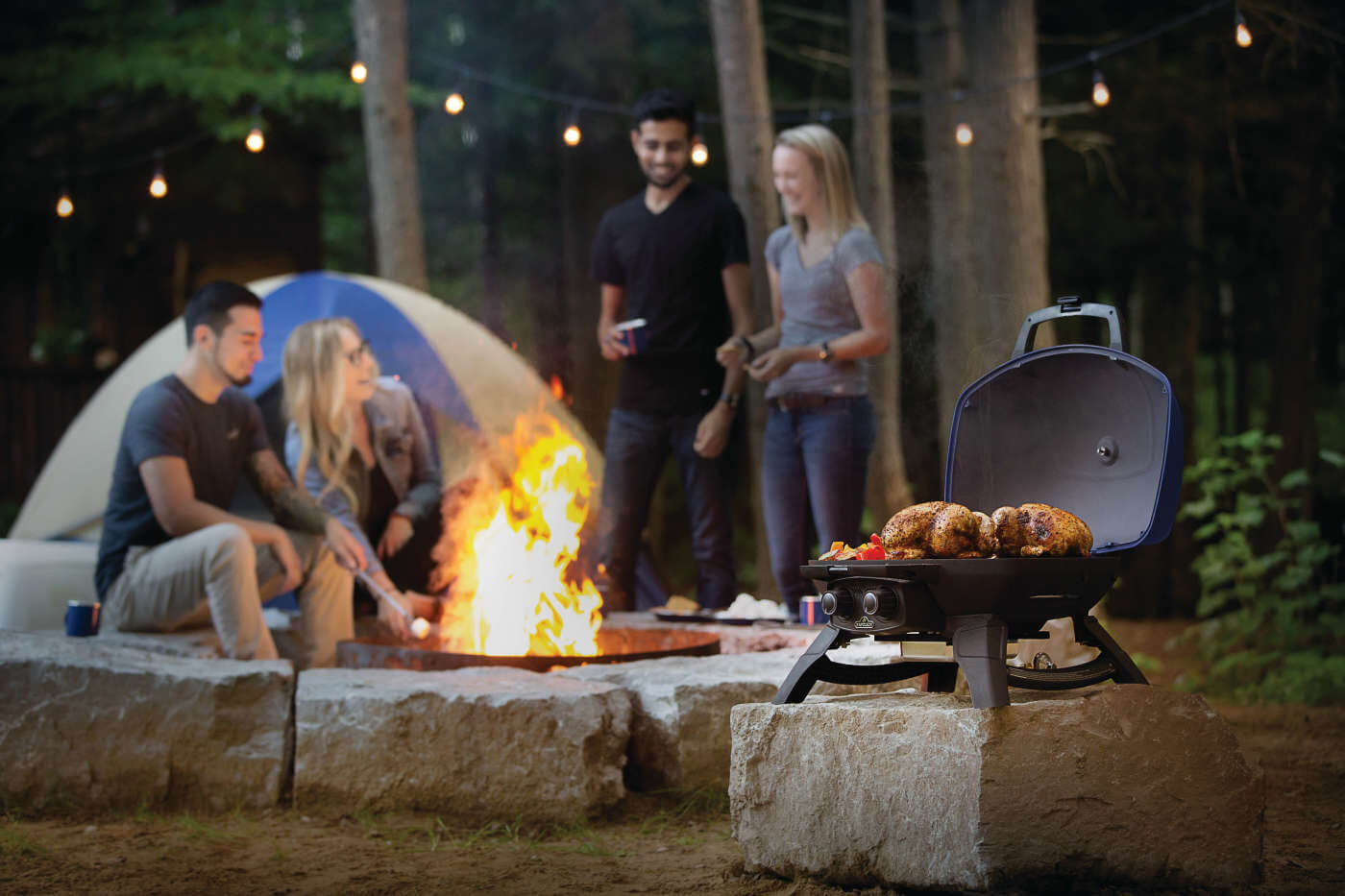 Napoleon TravelQ 285 with Griddle Portable Liquid Propane Gas Grill TQ285-BL-1