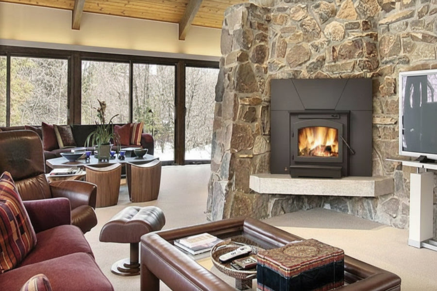 Napoleon Economizer™ Wood Fireplace Insert EPI22-1