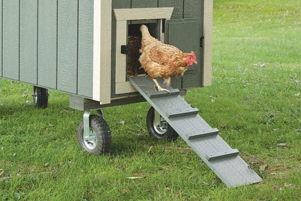 Hen House Chicken Coop A1018