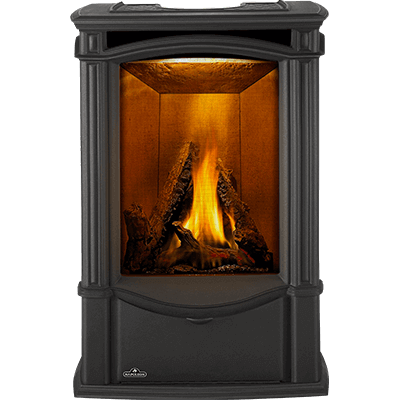 Napoleon Castlemore™  Direct Vent Gas Stove Metallic Black Natural Gas GDS26