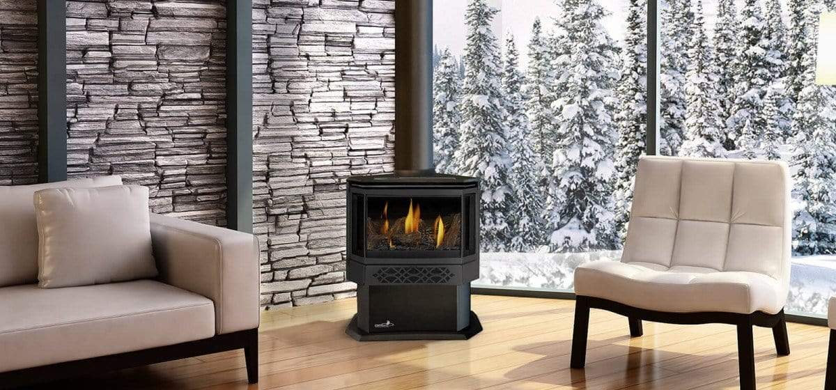 Napoleon Haliburton™ Direct Vent Ipi System Gas Stove GDS28