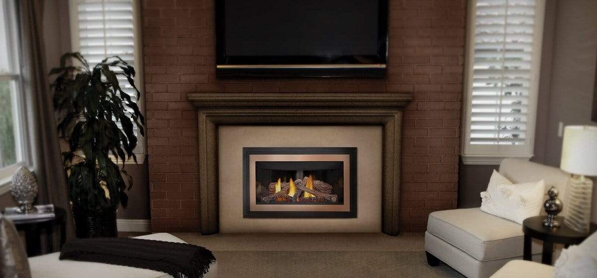 Napoleon Inspiration™ Gas Millivolt Fireplace Insert GDIZC
