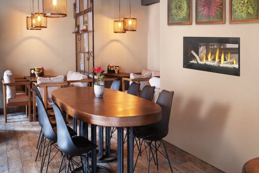 Napoleon Luxuria™ 50 See-Through Direct Vent Gas Fireplace LVX50