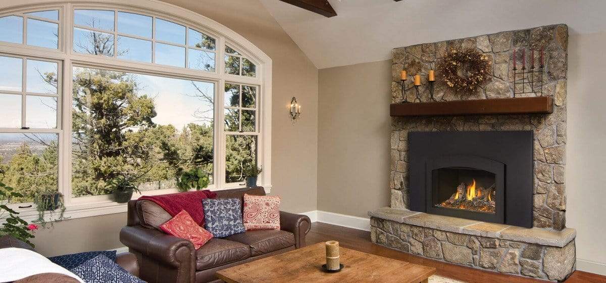 Napoleon Oakville™ X3 Gas Fireplace Insert GDIX3N