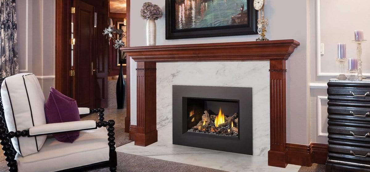Napoleon Oakville™ X3 Gas Fireplace Insert GDIX3N