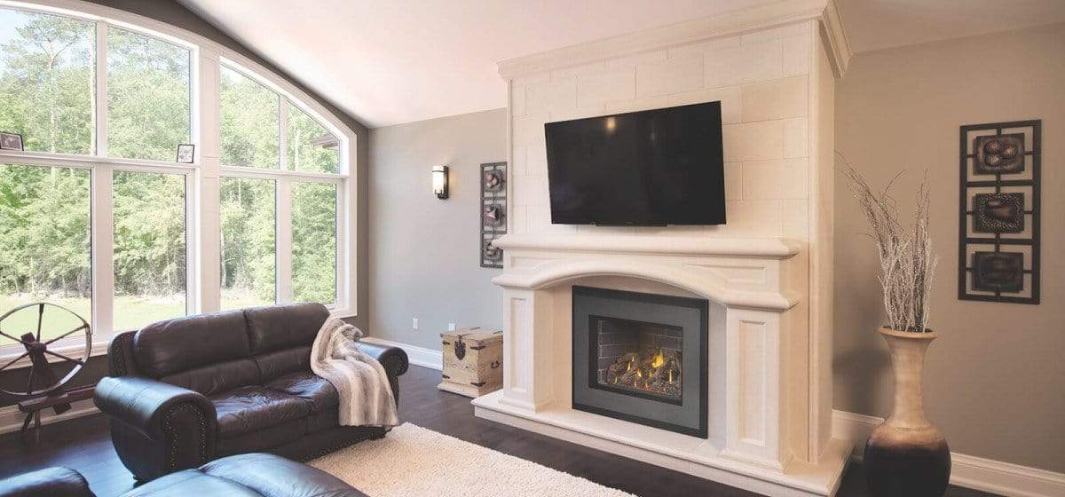 Napoleon Oakville™ X4 Gas Fireplace Insert GDIX4N