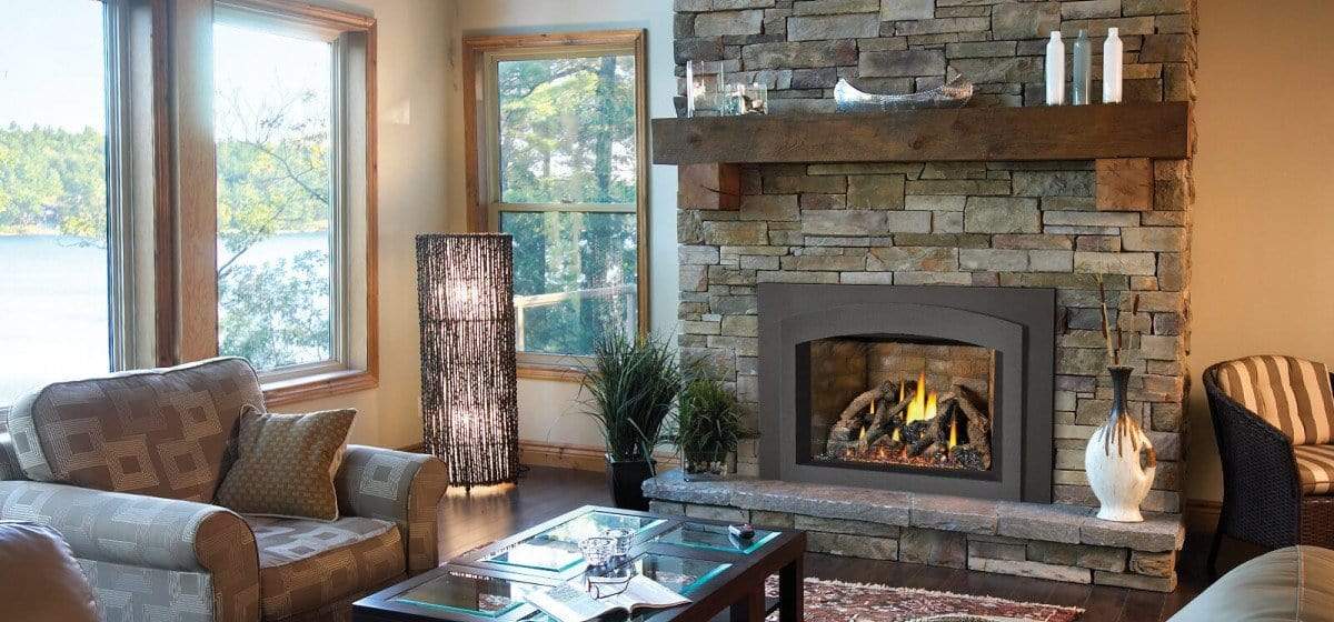Napoleon Oakville™ X4 Gas Fireplace Insert GDIX4N