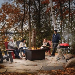 Napoleon TravelQ 285x with Scissor Cart Liquid Propane Portable Gas Grill TQ285X-RD-1-A