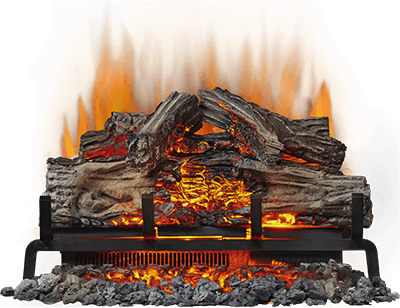 Napoleon Woodland 24 Electric Fireplace Log Set NEFI24H